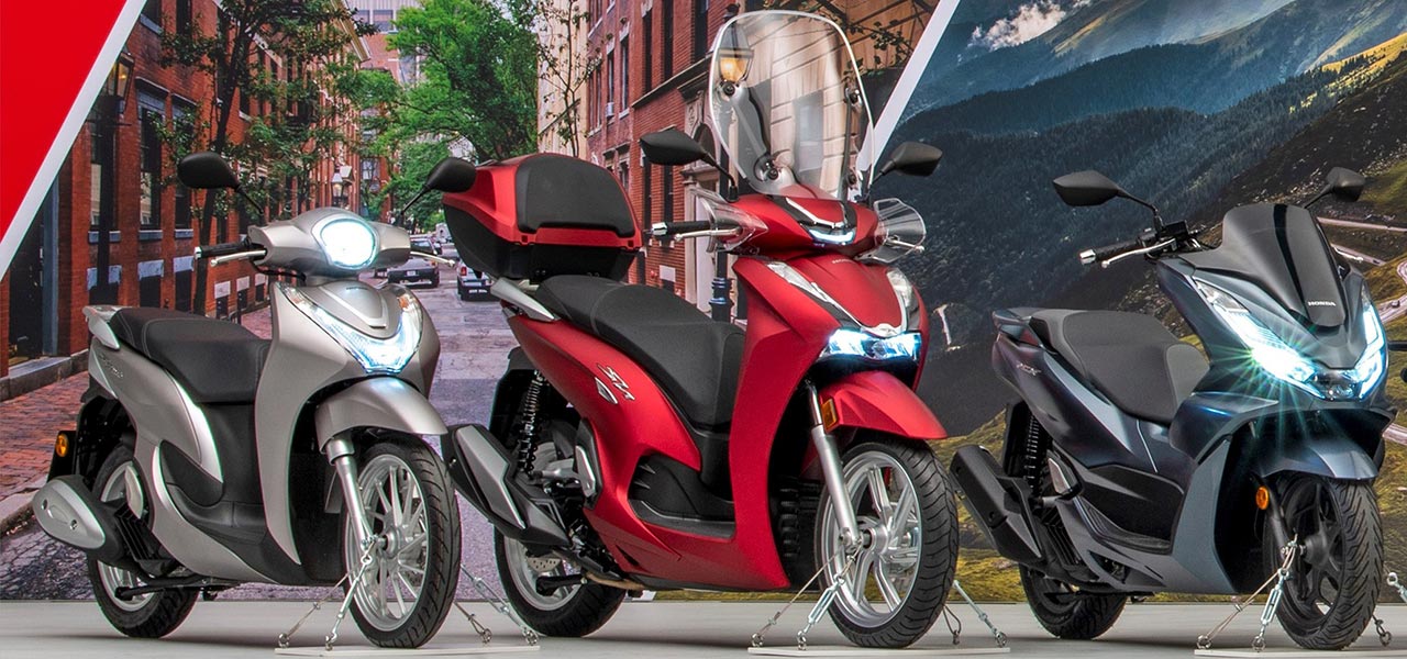 Scooters Honda carnet de coche