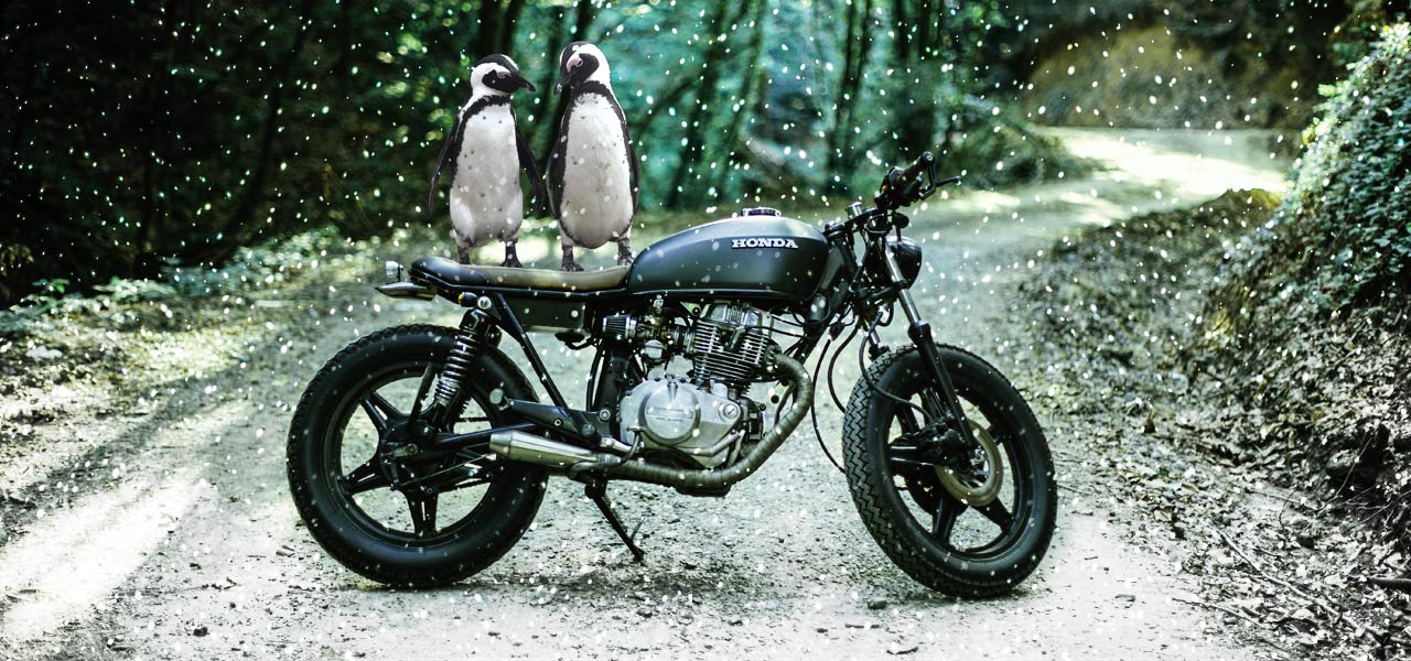 dos pinguinos encima de una moto honda en la nieve