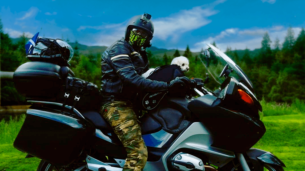 Como llevar a tu mascota en moto